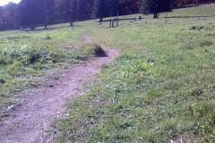 Bild103