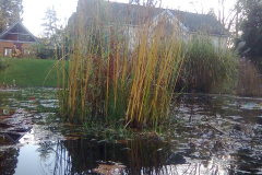 Bild121